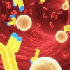 Анализ на иммуноглобулин Е (IgE) в крови