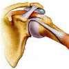 Лечение плечевого сустава в петербурге thumbnail